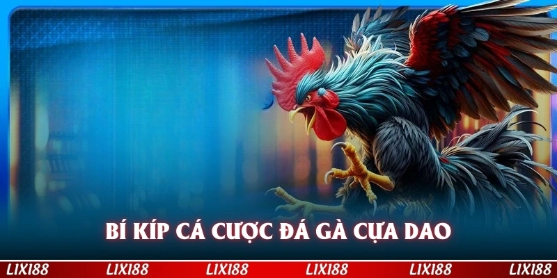 Bí kíp cá cược đá gà cựa dao cho người mới