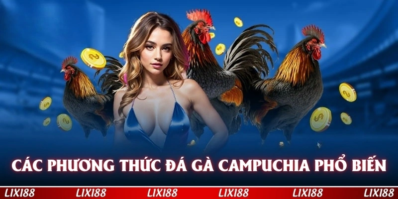 Các phương thức đá gà Campuchia cực kỳ là phổ biến