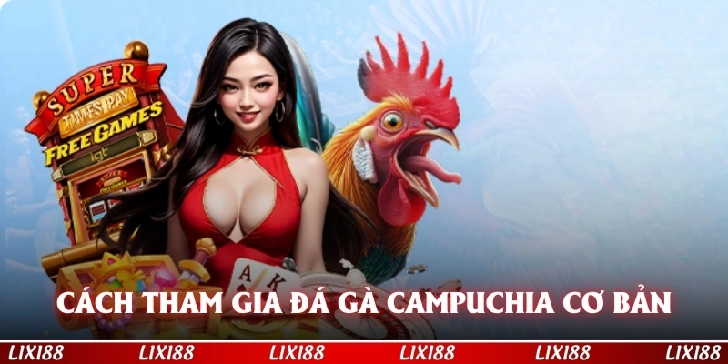 Cách tham gia đá gà Campuchia cơ bản
