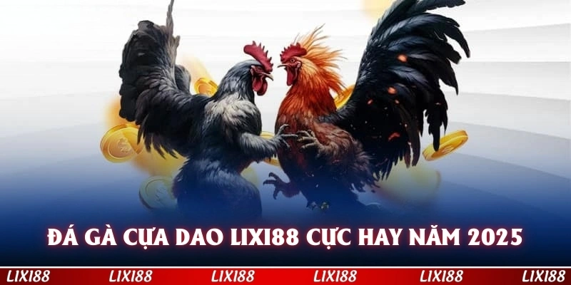 Đá Gà Cựa Dao Lixi88 Cực Hay Năm 2025