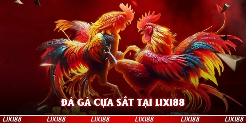 Đá gà cựa sắt có giao diện cuốn hút hội viên tại LIXI88