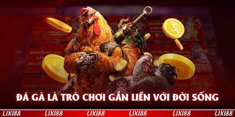 Đá gà là trò chơi thể thao gắn liền với đời sống văn hóa người dân
