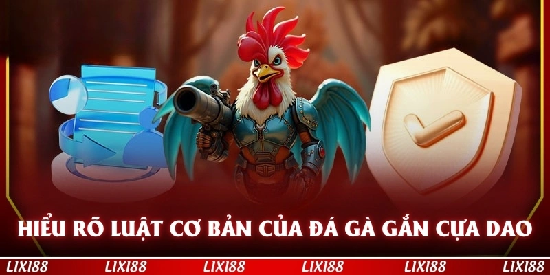 Hiểu rõ luật cơ bản của đá gà gắn cựa dao trước khi tham gia