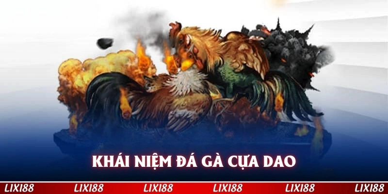 Khái niệm đá gà cựa dao