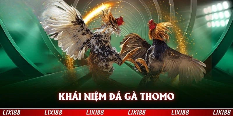 Khái niệm đá gà Thomo