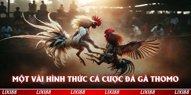 Một vài hình thức cá cược đá gà Thomo hấp dẫn